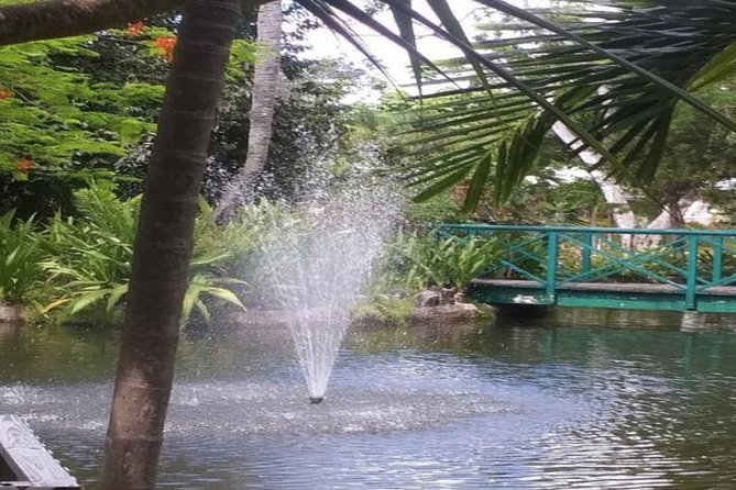 Freeport Shore Excursion: Garden of the Groves and City Tour - A half-day route that keeps your cruise day stress low