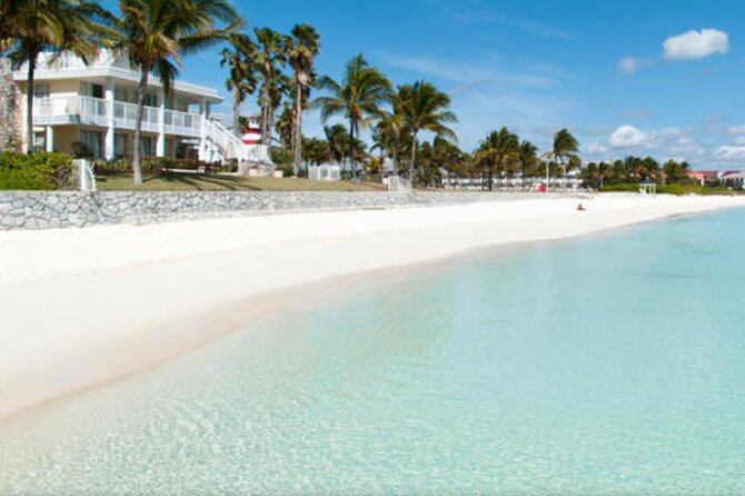 Freeport Shore Excursion: Garden of the Groves and City Tour - Timing and cruise-day logistics, without the headache