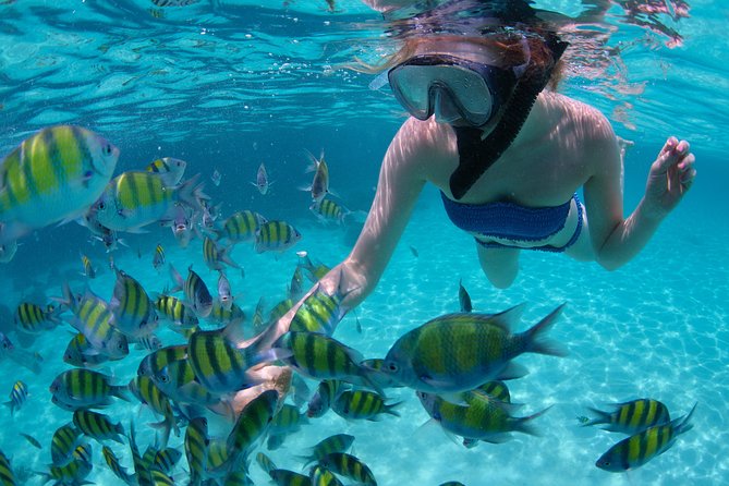 Freeport Snorkeling Peterson Cay National Park and Hotel Day Pass - Key things to know before you go