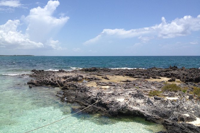 Freeport Snorkeling Peterson Cay National Park and Hotel Day Pass - Where you meet and how check-in works at Viva Fortuna