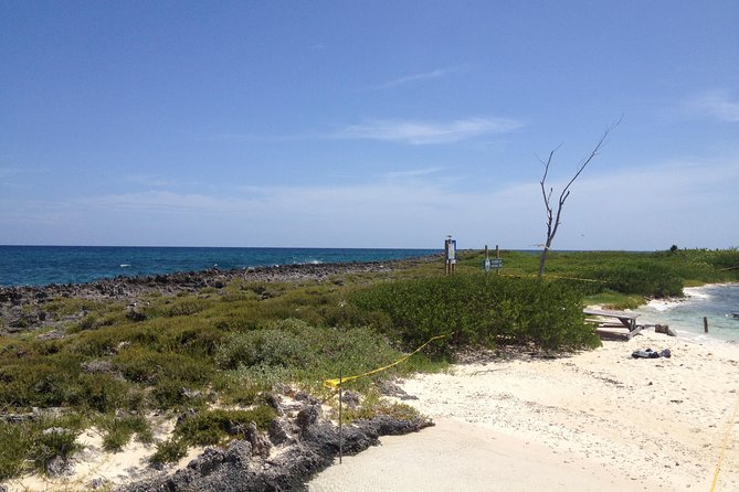 Freeport Snorkeling Peterson Cay National Park and Hotel Day Pass - Snorkeling Peterson Cay National Park: shallow water, coral, fish, and guide help