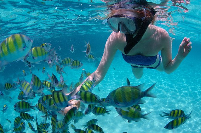 Freeport Snorkeling Peterson Cay National Park and Hotel Day Pass - How long this trip takes, and how to plan the rest of your day