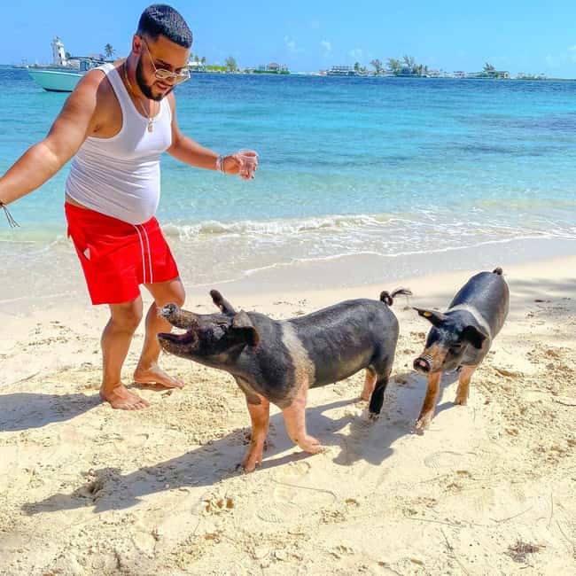From Nassau: Swim with Pigs Safari - Key things that make this tour worth your time