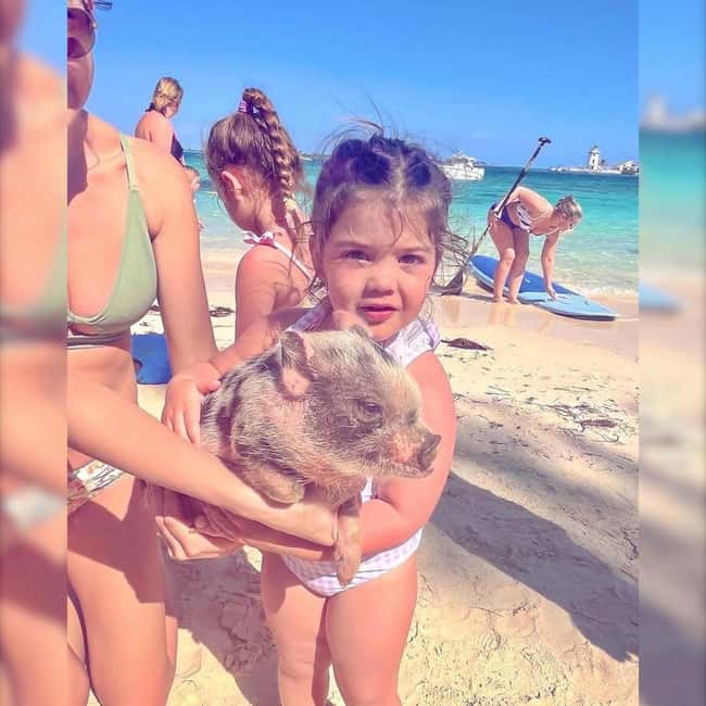 From Nassau: Swim with Pigs Safari - Price and Value: What You’re Really Paying For