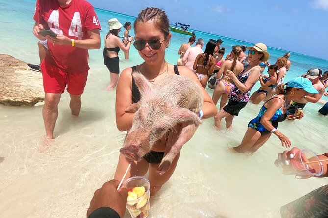 Full-Day Luxury Private Rose Island Pigs and Turtles Excursion - Key Things You’ll Notice Right Away
