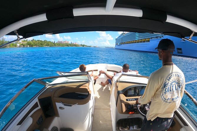 Full-Day Luxury Private Rose Island Pigs and Turtles Excursion - A Private Day That Feels More Like Your Own Boat Trip Than a Tour