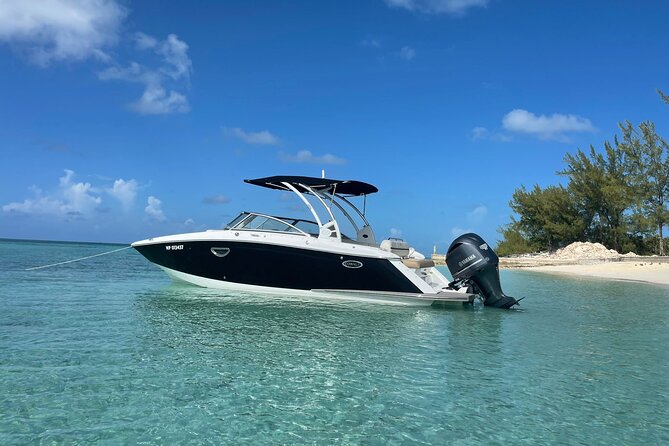 Full-Day Luxury Private Rose Island Pigs and Turtles Excursion - Green Cay Sea Turtle Sightings, Where the Mood Can Shift