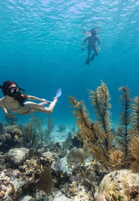 Full Day Sail and Snorkel with Turtles - Flying Cloud Day Sail: Why This Tour Works So Well