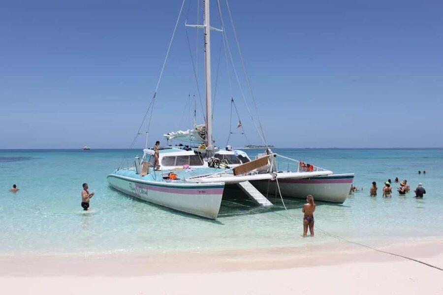 Full Day Sail and Snorkel with Turtles - Turtle Viewing From the Boat: Seeing Wildlife Without Chaotic Land Time