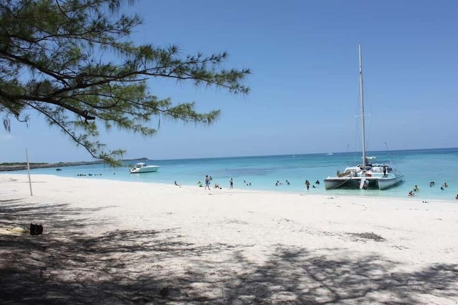 Full Day Sail and Snorkel with Turtles - Transportation Back to Your Hotel: Keep It Simple
