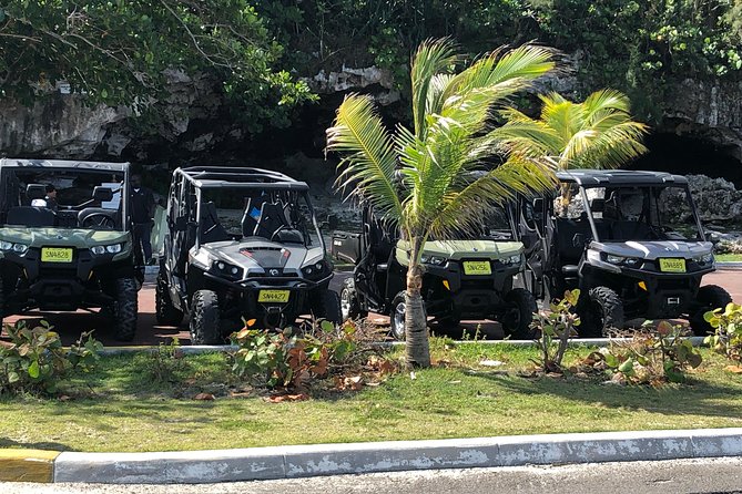 Fun Side x Side Buggy Rentals - Key things to know before you drive