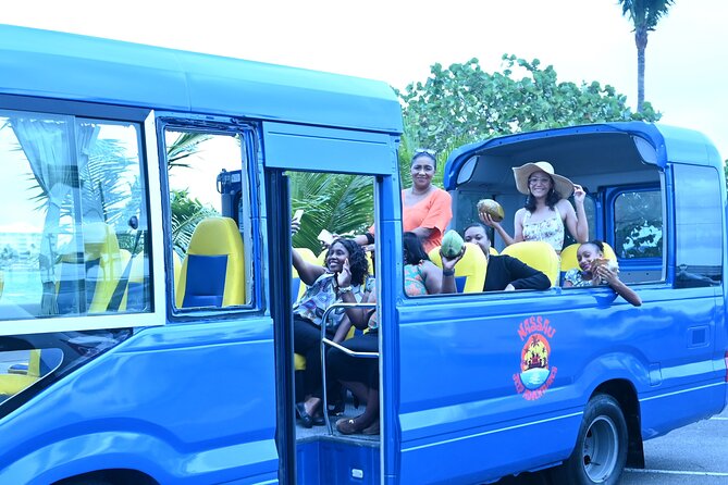 Funky Nassau Deluxe Food Tour - A Taste of The Bahamas - Arawak Cay at Joeys Seafood Lounge, Drink Mixing Plus Lunch