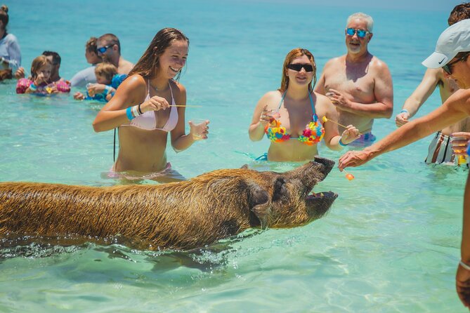 Guided All Inclusive Beach Day Excursion in Bahamas - On Rose Island: shade, games, WiFi, and the kind of extras that change the mood