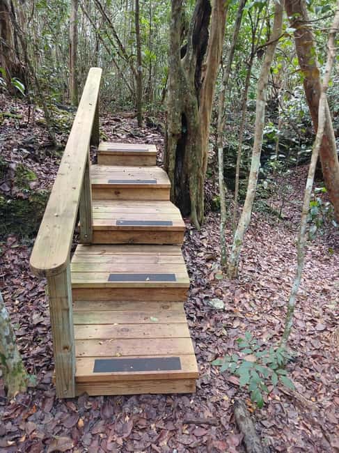 Guided Primeval Nature Walk Tour - Price and value, what $140 really covers