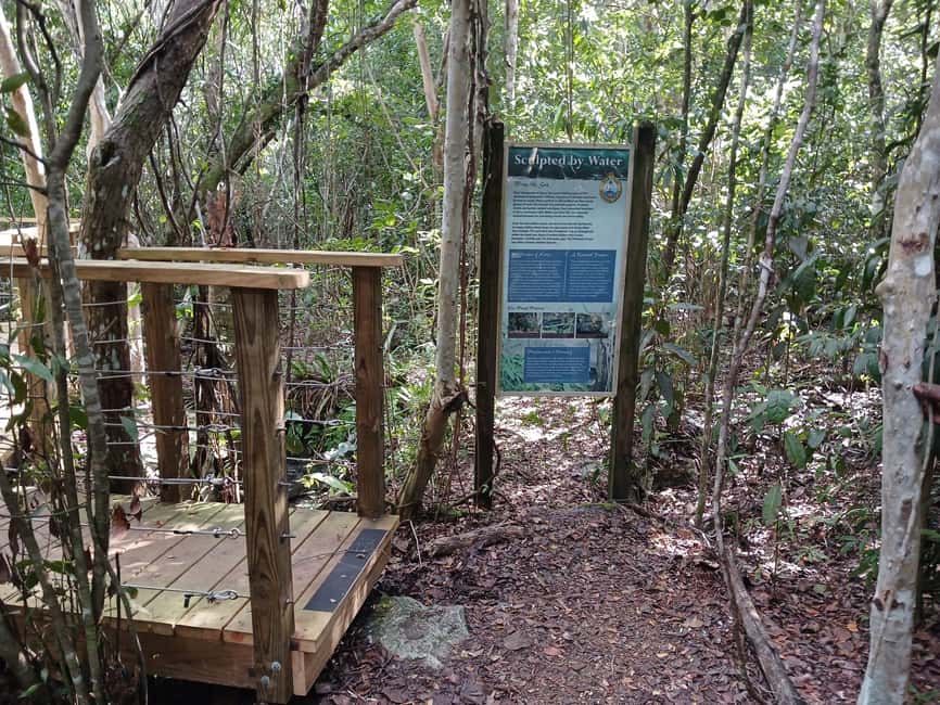 Guided Primeval Nature Walk Tour - First stops around New Providence, the easy warm-up