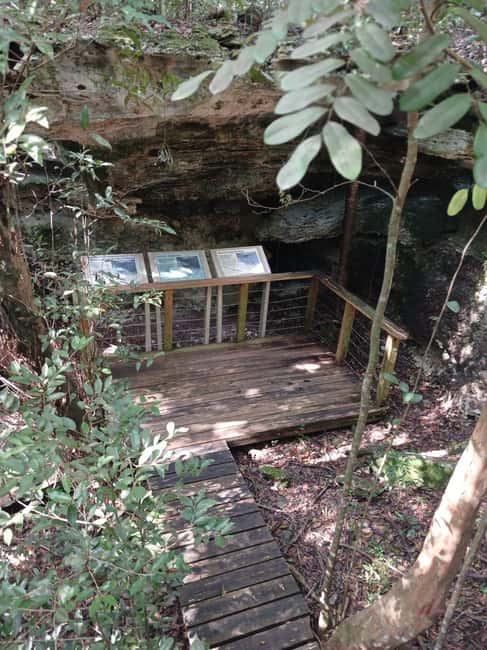 Guided Primeval Nature Walk Tour - Cave Point limestone caves, where the coast turns strange