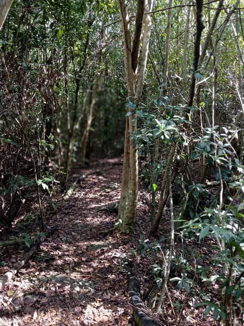 Guided Primeval Nature Walk Tour - Clifton Heritage Site and the Oldest Slave Village, history you can see