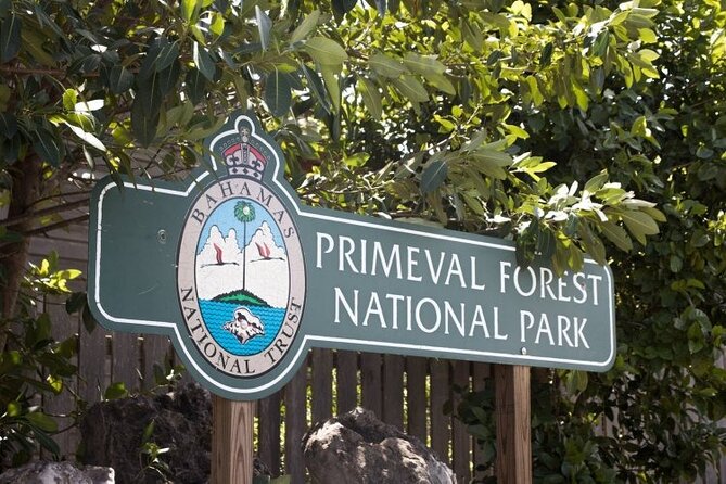 Guided Primeval Nature Walk Tour in Primeval Forest National Park - Key highlights at a glance