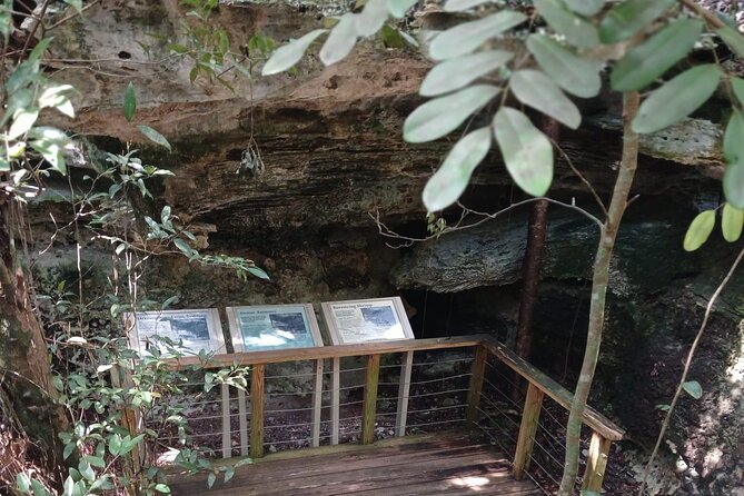 Guided Primeval Nature Walk Tour in Primeval Forest National Park - Clifton Heritage National Park and the Oldest Slave Village: history you will feel