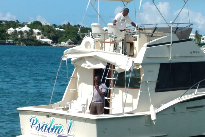 Half-Day at Green Cay Bahamas Snorkeling with Turtles - Rose Island beach and lunch: where the trip slows down