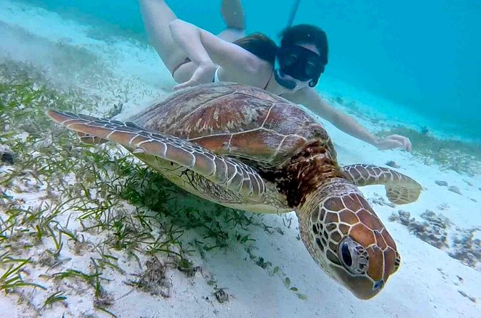 Half-Day at Green Cay Bahamas Snorkeling with Turtles - Captain Pedro, First Mate Andrew, and why this matters for safety
