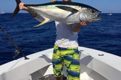 Half day Deep sea/light tackle fishing charters