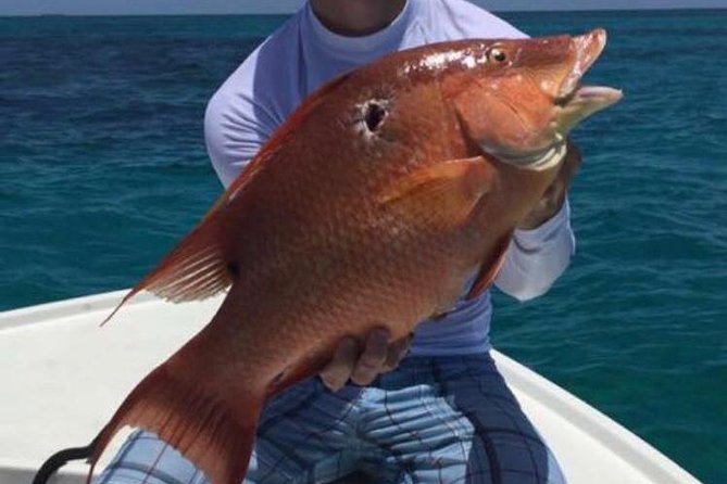 Half day Deep sea/light tackle fishing charters - Price of $920 per group, and how to judge if it’s a fair deal