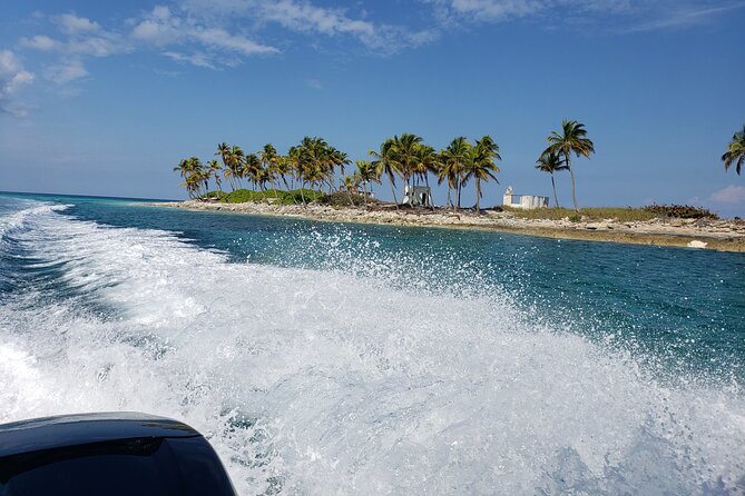Half-Day Guided Boat Tour of Nassau Harbour and Rose Island - Rose Island: green turtles, beach time, and swimming pigs