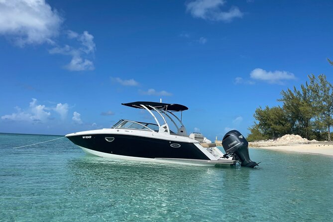 Half-Day Luxury Private Rose Island Pigs and Turtles Excursion - Price and value: $1,250 per group, up to 8 people