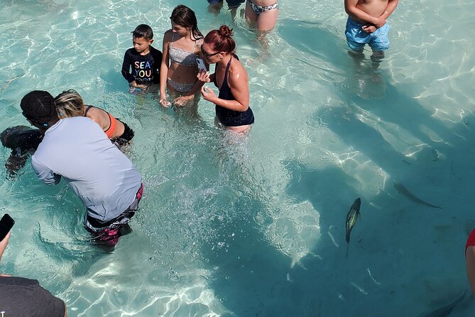 HALF DAY Swiming Pigs and Sharks Tour (Nassau to Exuma by Plane) - Why This Exuma Flight and Boat Route Works So Well