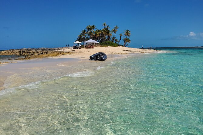 HALF DAY Swiming Pigs and Sharks Tour (Nassau to Exuma by Plane) - Stop 2: Pig Beach, the Main Event (and the Optional Adventure)