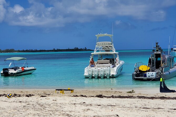 HALF DAY Swiming Pigs and Sharks Tour (Nassau to Exuma by Plane) - Stop 3: Compass Cay Sharks, Seeing Them Without Overthinking