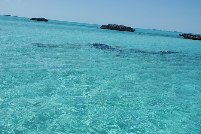 HALF DAY Swiming Pigs and Sharks Tour (Nassau to Exuma by Plane) - Stop 5: Gaulin Cay Iguanas, Quiet Time With Ancient Reptiles