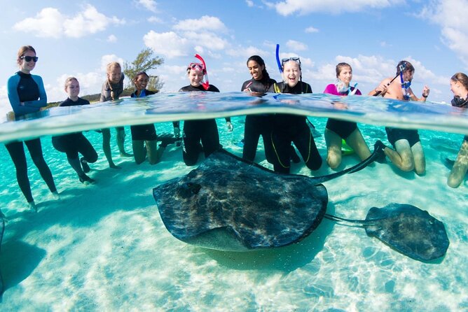 Honeymoon Harbour and The Sapona Day Trip - Key highlights you’ll care about