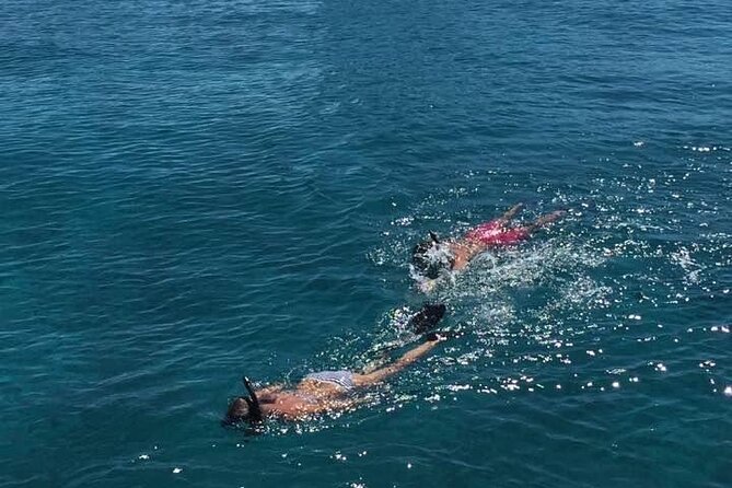 Honeymoon Harbour and The Sapona Day Trip - Stop 1: The Sapona for snorkeling, fish, and a wreck to explore