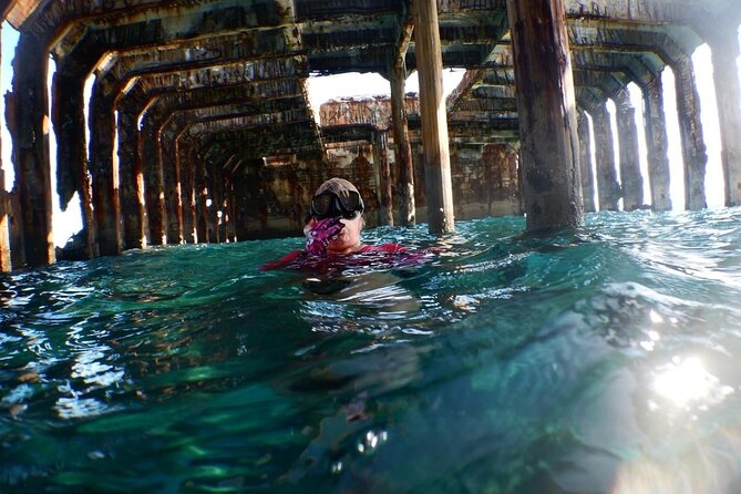 Honeymoon Harbour and The Sapona Day Trip - Getting to Bimini: the 10:00 am start and where it ends