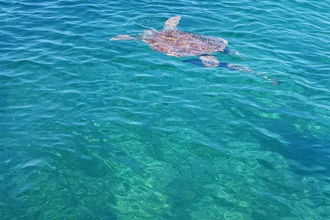 Honor Roll Private Bahamas Boat Charter - A Private Bahamas Boat Day That Feels Like You Control the Time