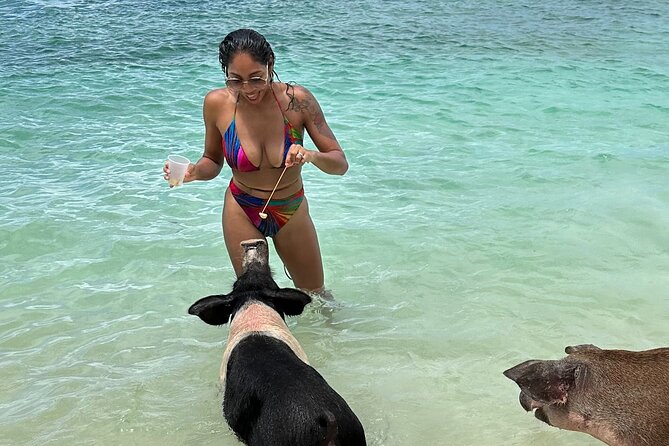 Luxury Catamaran Cruise: Sip, Sail, Snorkel, and Swim with Pigs! - Key Highlights Worth Your Time