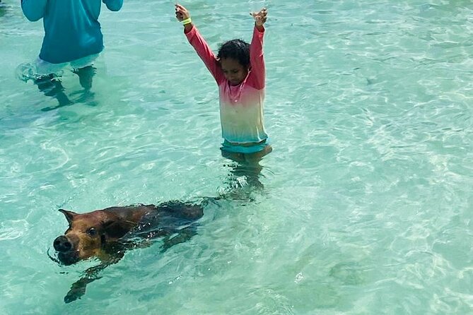 Luxury Catamaran Cruise: Sip, Sail, Snorkel, and Swim with Pigs! - Paradise Island Check-In: How to Not Lose Time Before the Fun