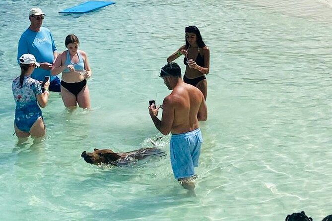 Luxury Catamaran Cruise: Sip, Sail, Snorkel, and Swim with Pigs! - Stop 2: Pearl Island Snorkeling, Gear Included and Crew in the Mix