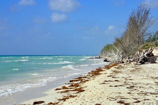 Mamma Gal Celeb-Key Native Exp. Shared Tour - Value check: is $80 per person worth it?