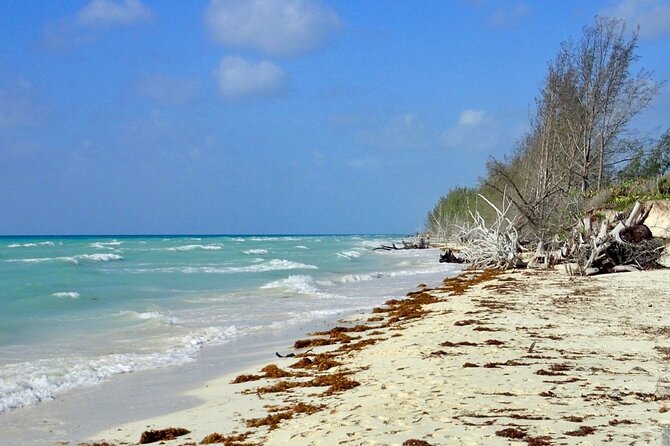 Mamma Gal Celeb-Key Native Exp. Shared Tour - Should you book this one? My straight answer