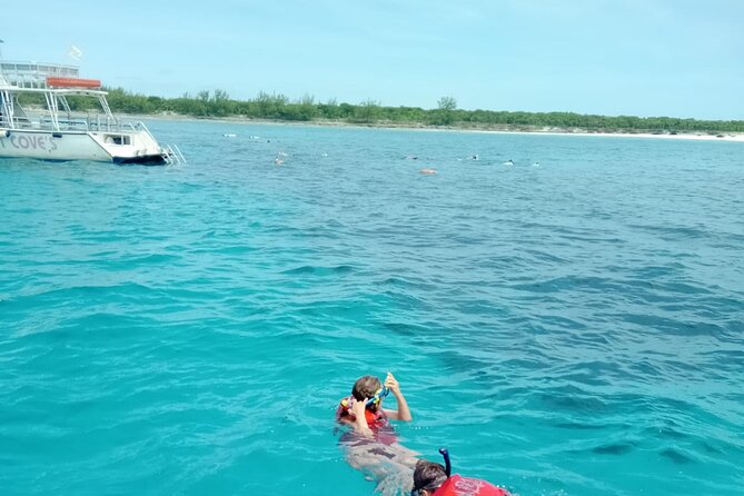 Nas: 3 islands Tour ,snorkel, Turtles, pigs and lunch - Stop 1 on Atholl Island: swimming pigs, feeding time, big photo moments