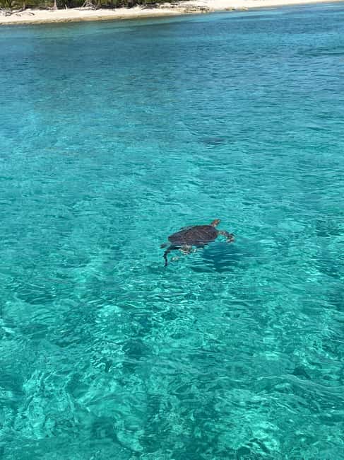 Nassau: 3 Islands Boat w/ Swimming Pigs, Snorkeling & Turtle - How the 3-island plan works in real life