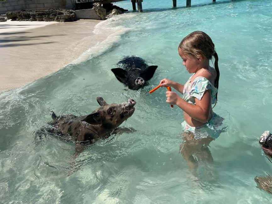 Nassau: 3 Islands Boat w/ Swimming Pigs, Snorkeling & Turtle - The speedboat ride: short hops, lots of sea time