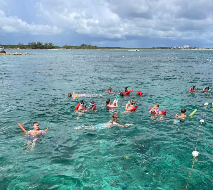 Nassau: 3 Islands Boat w/ Swimming Pigs, Snorkeling & Turtle - What you pay for: the $175 value math
