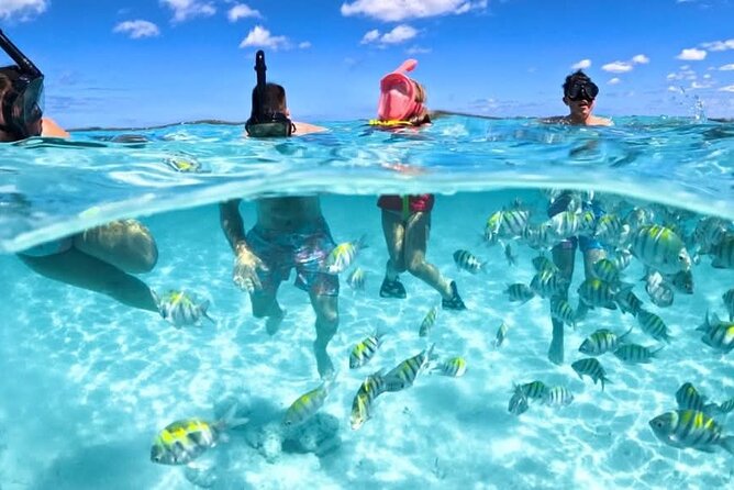 Nassau: 3 islands Pigs,Turtles,Snorkel & Beach Club with lunch - Key highlights before you go