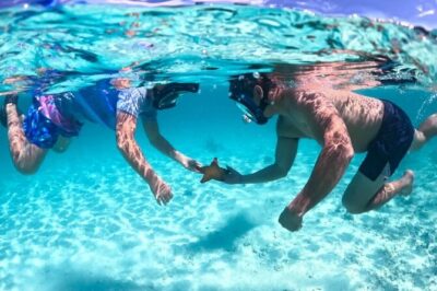 3 islands Pigs,Turtles,Snorkel & Beach Club with lunch
