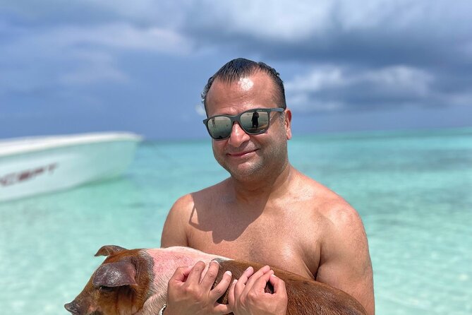 Nassau: 3 islands Pigs,Turtles,Snorkel & Beach Club with lunch - Stop 3 at Green Turtle Cay: swimming near turtles