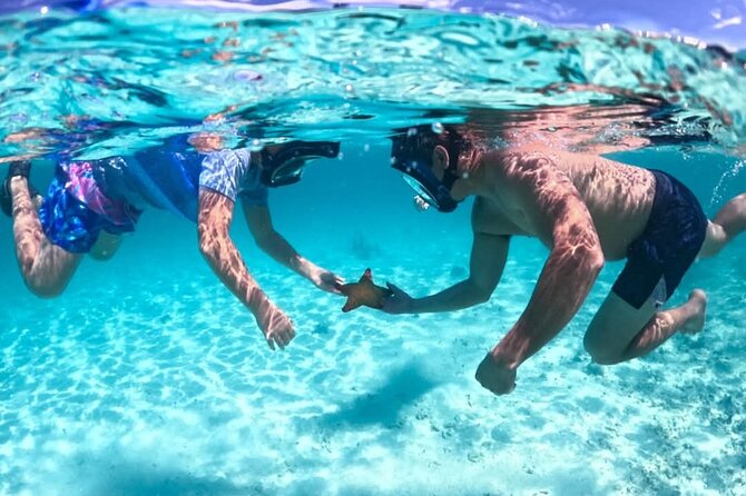 Nassau: 3 islands Pigs,Turtles,Snorkel & Beach Club with lunch - Price and what you’re actually paying for ($175 per person)